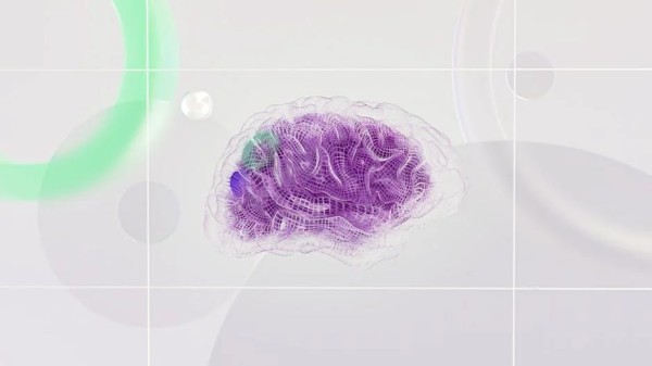 感恩的神经科学:感恩的神经科学:为何重要以及如何发挥作用