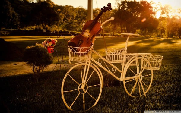 关于健康生活的英文演讲稿【精选5篇】