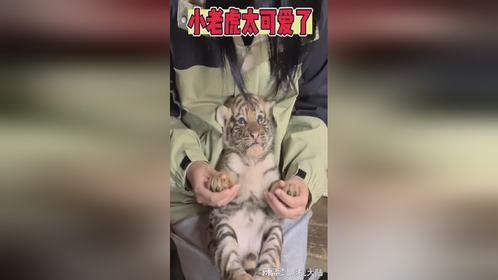 武松心也太狠了吧