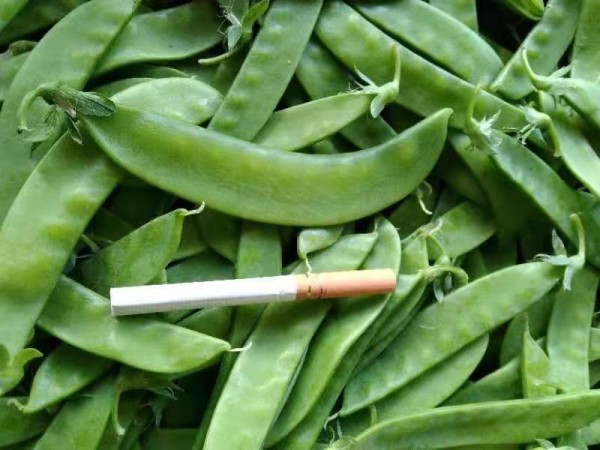 荷兰豆健康食用建议图