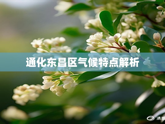 通化东昌区气候特点解析