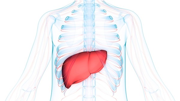肝胆湿热能吃冰淇淋吗