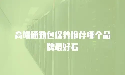 高端通勤包保养推荐哪个品牌最好看