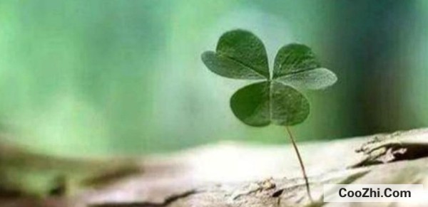 如何才能让自己尽快成长起来？