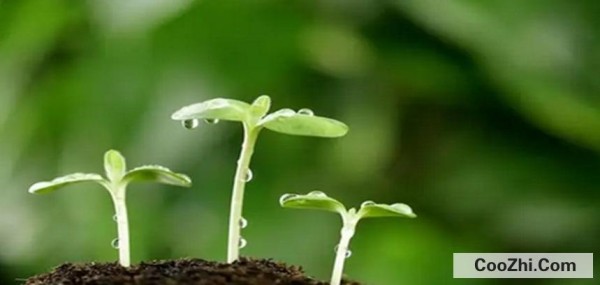 如何才能让自己尽快成长起来？