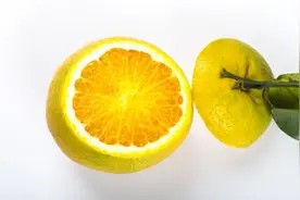 家庭主妇怎么清理家务 清理家务有技巧图片