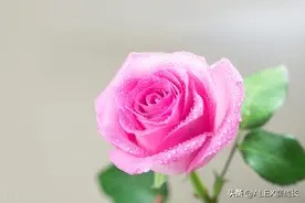 娘家的这3件私事,聪明女人都会瞒着丈夫,这才是为自己留后路图片