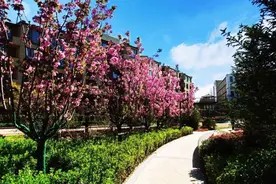 聪明的老人这样处理家务,避免了儿女纷争图片