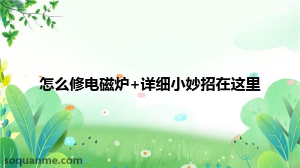 怎么修电磁炉 详细小妙招在这里