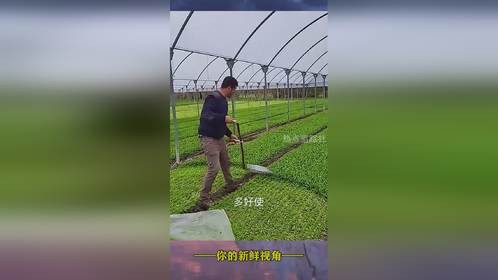 这一看呐就是干活人这活儿干的干净利索。