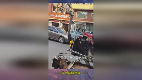 看看这大爷的小车，真有个性漂亮