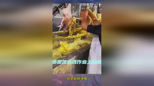 鸡被清洗干净，即将成为美味的食材