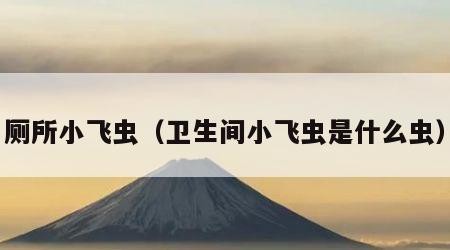 厕所小飞虫（卫生间小飞虫是什么虫）