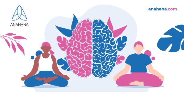 FAQ about the what the central nervous system is