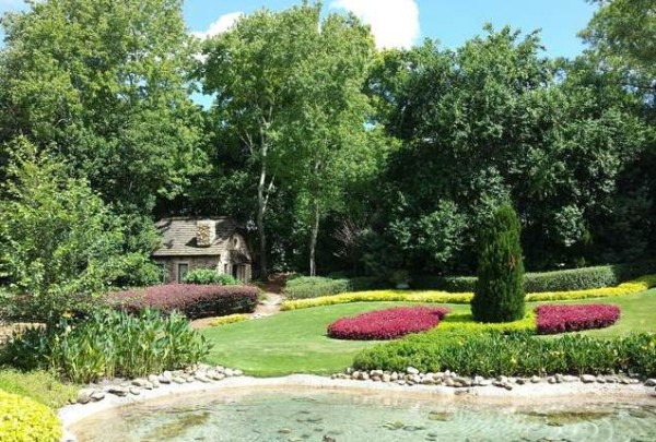 室内大型盆栽植物有哪些 室内开花植物