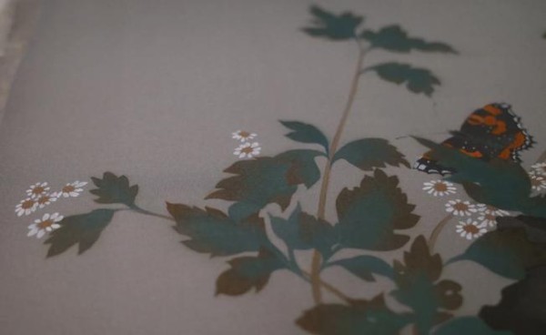 以小卷绢怎么养——细说照顾小卷绢的技巧（小卷绢的饲养指南，让你成为懂养宠物的好主人）