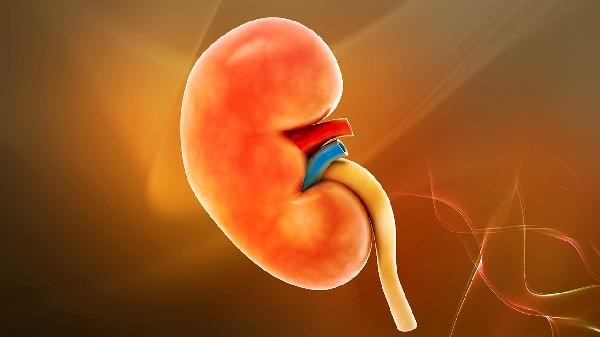 iga肾病针灸治疗有效吗