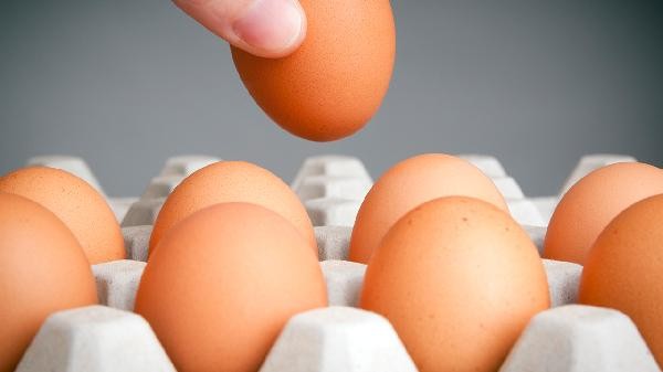 生活中不能吃的食物