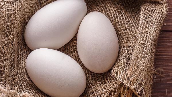 生活中不能吃的食物