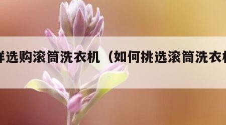 怎样选购滚筒洗衣机（如何挑选滚筒洗衣机知乎）
