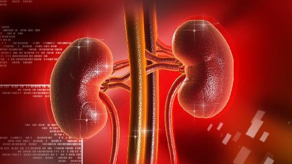 iga肾病能治愈吗