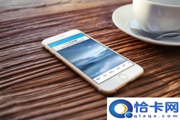 白萝卜和胡萝卜相克吗？这些食物搭配的禁忌