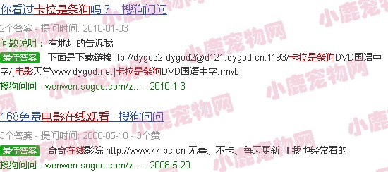 卡拉是条狗电影在线观看