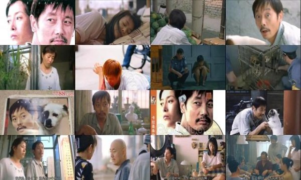 卡拉是条狗电影在线观看