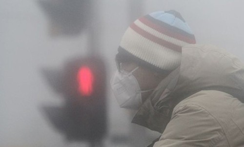 京东预收入30亿 健康小家电爆发式增长 