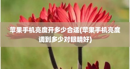 苹果手机亮度开多少合适(苹果手机亮度调到多少对眼睛好)