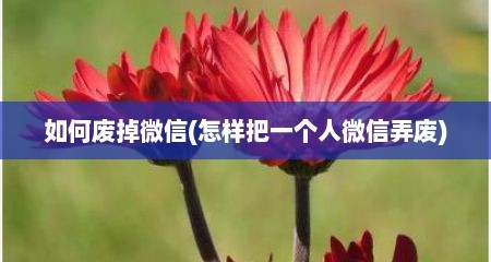 如何废掉微信(怎样把一个人微信弄废)