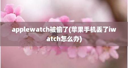 applewatch被偷了(苹果手机丢了iwatch怎么办)