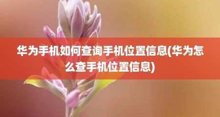 华为手机如何查询手机位置信息(华为怎么查手机位置信息)