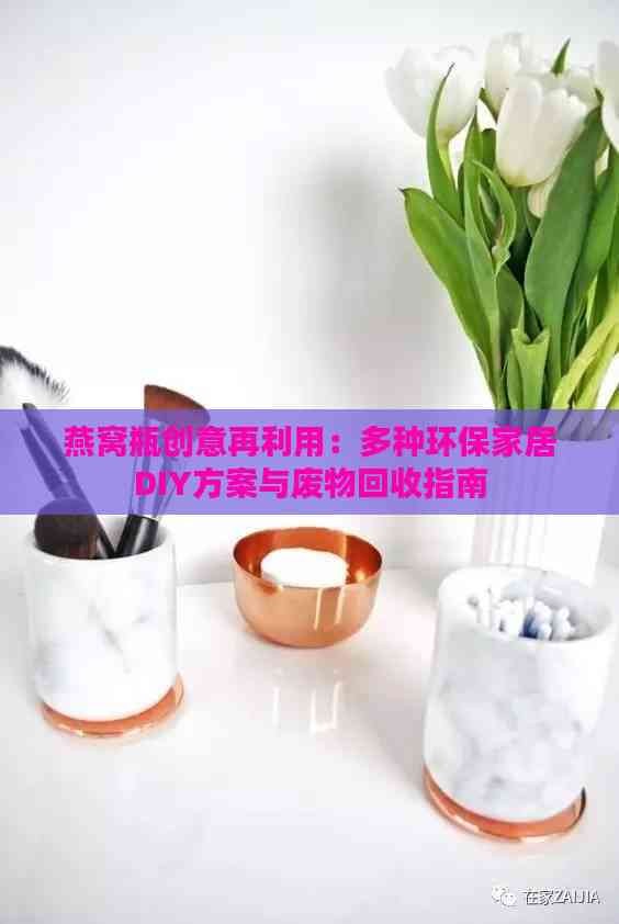 燕窝瓶创意再利用：多种环保家居DIY方案与废物回收指南