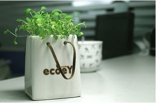 燕窝瓶创意再利用：多种环保家居DIY方案与废物回收指南