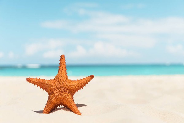 夏日旅行必备清单,轻巧so easy3