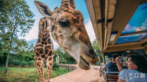 10大国内亲子主题乐园推荐和游玩攻略_新浪众测