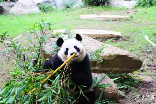 10大国内亲子主题乐园推荐和游玩攻略_新浪众测