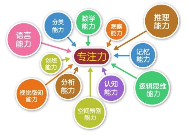 专注力.jpg