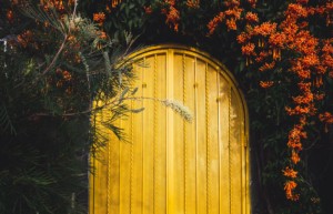 Opening the Door to Poetry