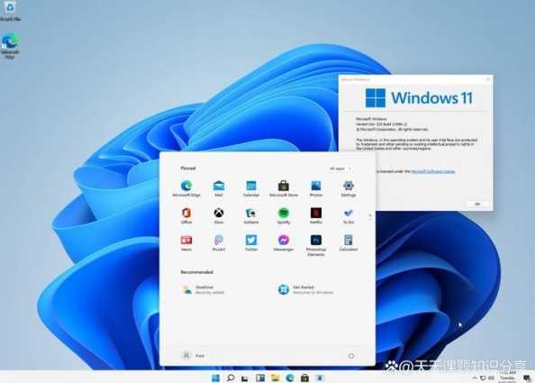 Windows 11桌面文件怎么整理？如何高效管理？ 第1张