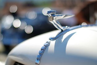 盘点国外那些让人眼前一亮的清扫机器人品牌