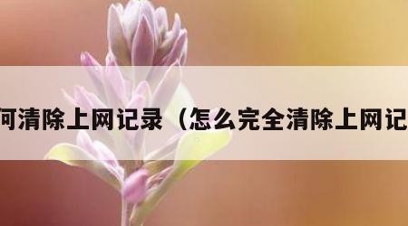 如何清除上网记录（怎么完全清除上网记录）