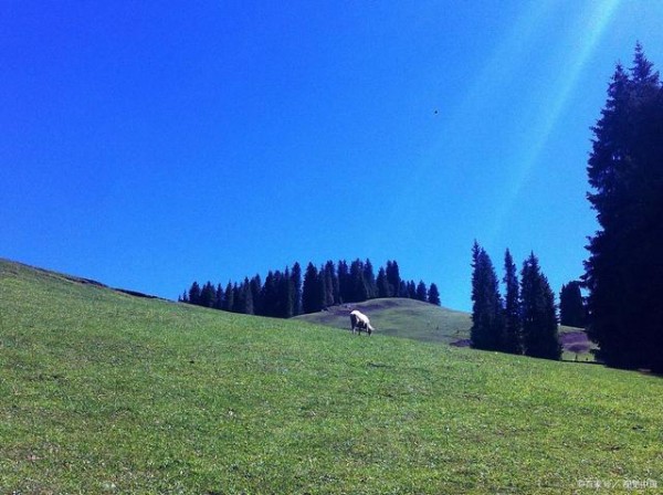 轻松拿驾照的几个技巧!-有驾