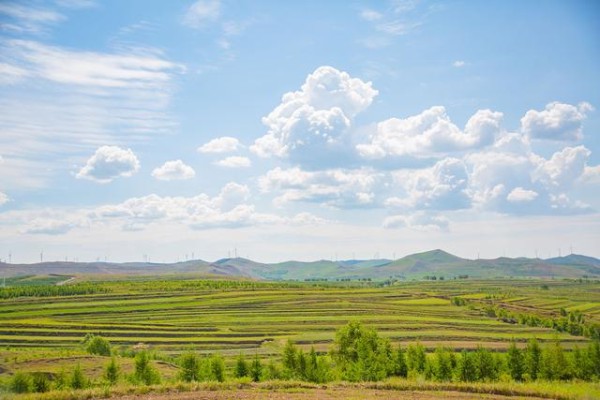 轻松拿驾照的几个技巧!-有驾