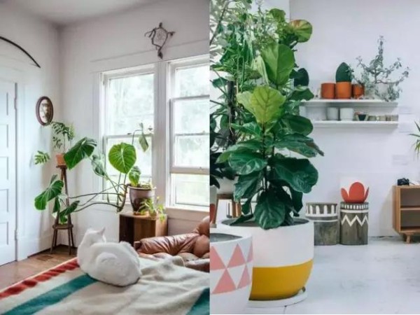 微信图片_20170509151435