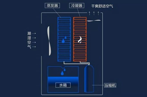 怎么防止潮湿发霉