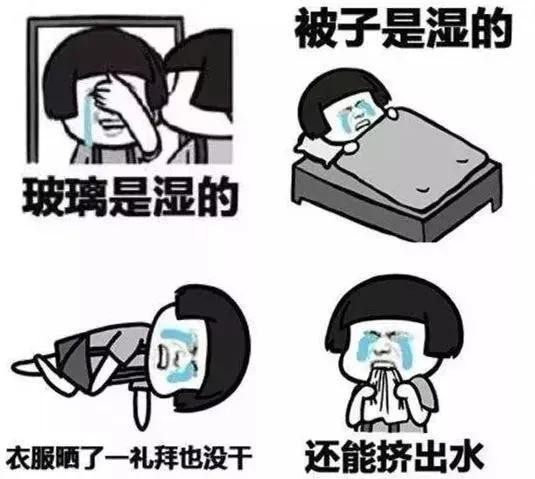 4点除湿技巧，屋里再也不“长蘑菇”｜幸福小课堂