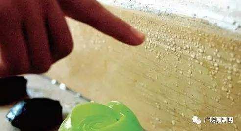 除湿、除霉最强攻略，告别霉菌困扰，就这么简单!