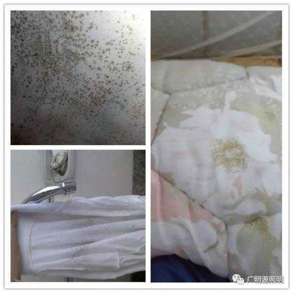 除湿、除霉最强攻略，告别霉菌困扰，就这么简单!